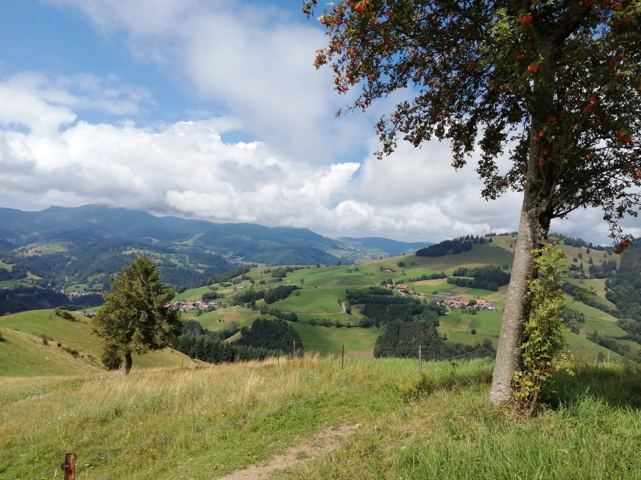 Schwarzwaldlandschaft mit Fahrrad bei Schopfheim
